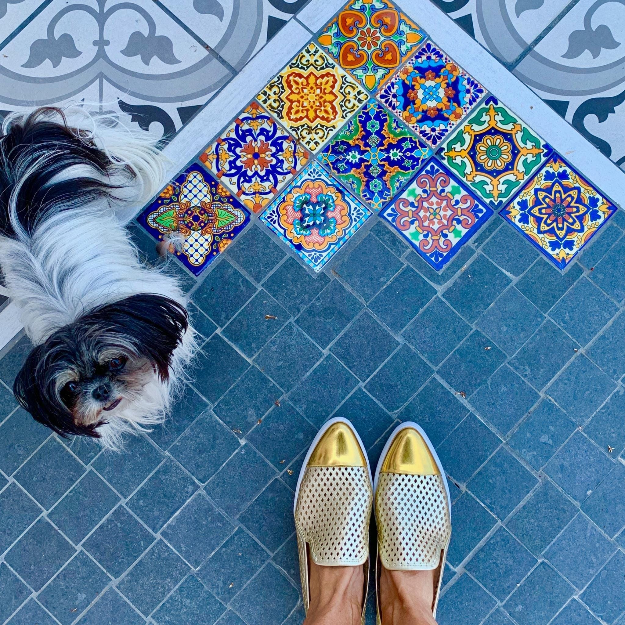 Jibs Slim Gold + Gold Toe Cap leather slip-on sneaker flat shoes sustainable Editorial